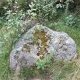 Pied de Saint Martin